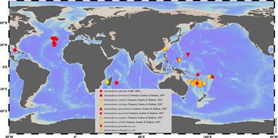 Two new species of the genus Amiantofusus (Gastropoda: Fasciolariidae) from seamounts in the tropical western Pacific, with remarks on the taxonomy of A. candoris and A. sebalis